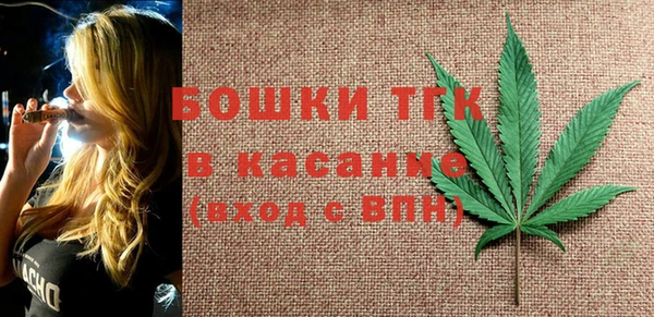 сатива Алзамай
