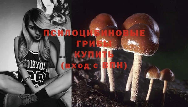 сатива Алзамай